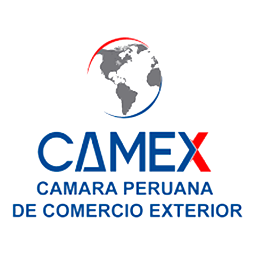 camex10